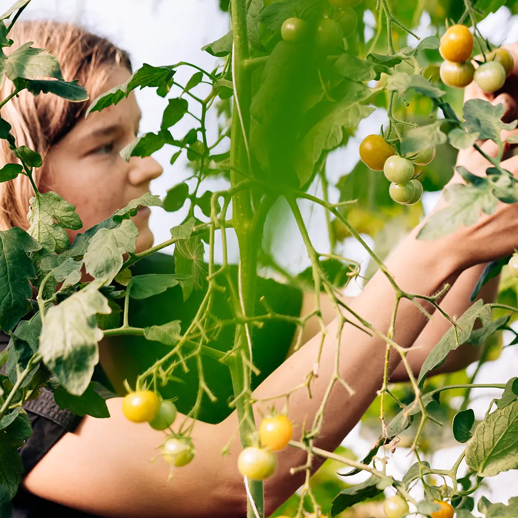 Produktfotografie Bauernhof Trier