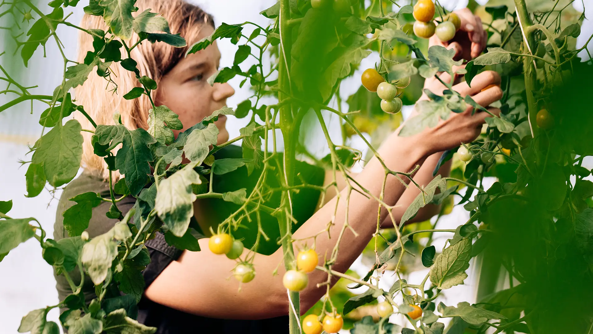 Businessfotos Garten Idem Trier